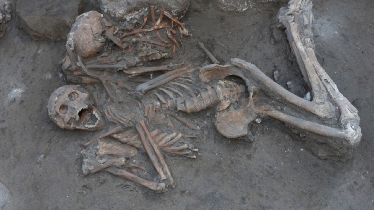 Szczątki nosiły ślady trepanacji.