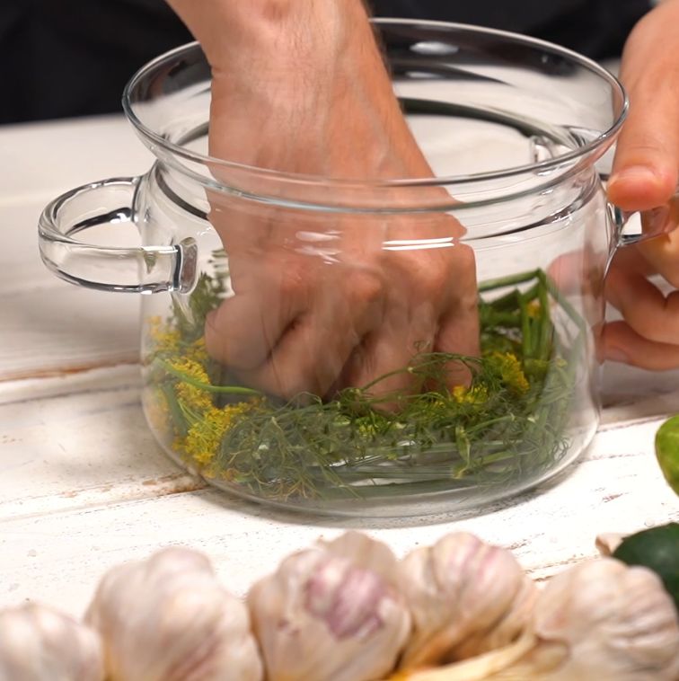 Dill for pickled cucumbers