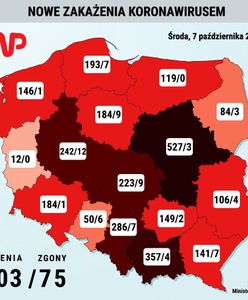 Koronawirus w Polsce. Najnowsze informacje Ministerstwa Zdrowia. Drastyczny wzrost