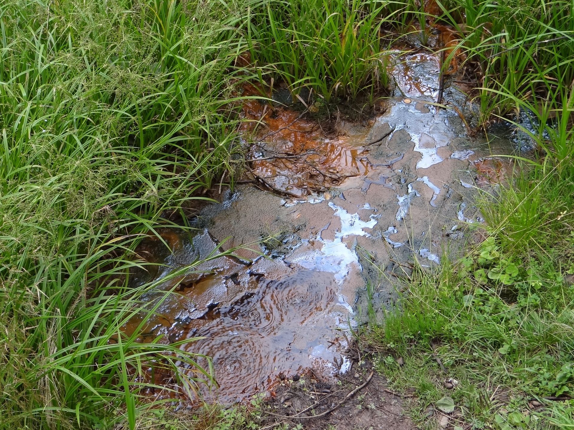 Mofeta w Jastrzębiku