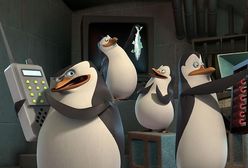 Pingwiny z Madagaskaru - online w TV - fabuła, bohaterowie, gdzie obejrzeć