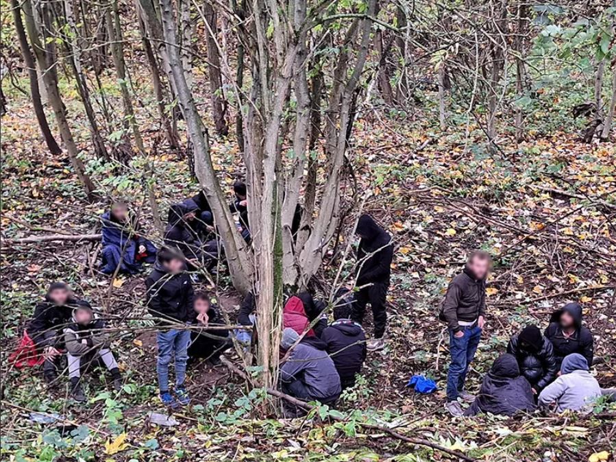 Imigranci znalezieni w lesie