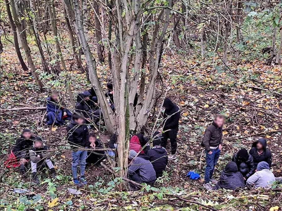 Poszedł na grzyby. Czech pokrzyżował plany imigrantów