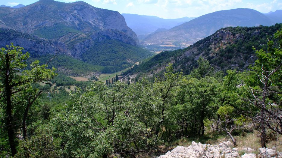 pireneje