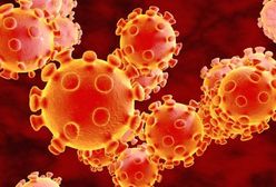 Śląsk. Ponad 30 tys. nauczycieli chętnych do zaszczepienia się przeciw COVID-19