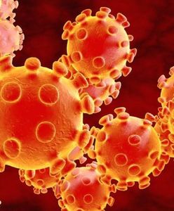 Śląsk. Ponad 30 tys. nauczycieli chętnych do zaszczepienia się przeciw COVID-19