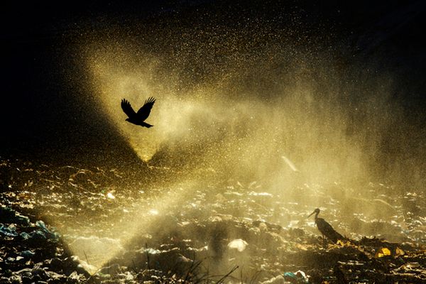 Znamy zwycięzców Travel Photographer of the Year 2015 20