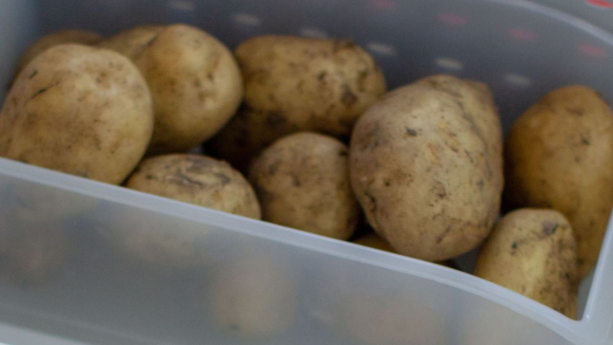 Dziadek ostrzegał przed takim przechowywaniem ziemniaków