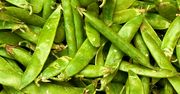 Lubisz groszek? Oto co robi z organizmem, gdy go jesz