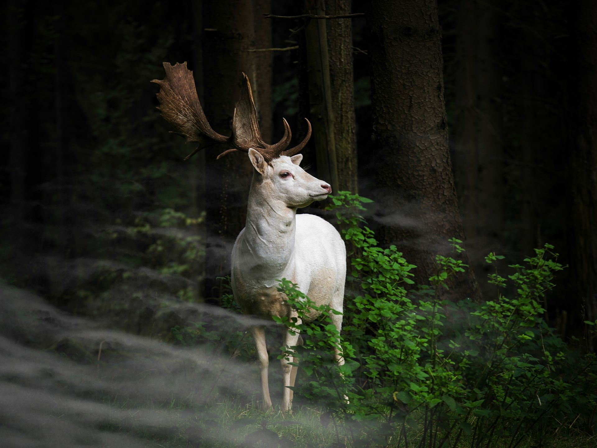 Oto najlepsze zdjęcia zgłoszone dotychczas w Sony World Photography Awards 2015 20