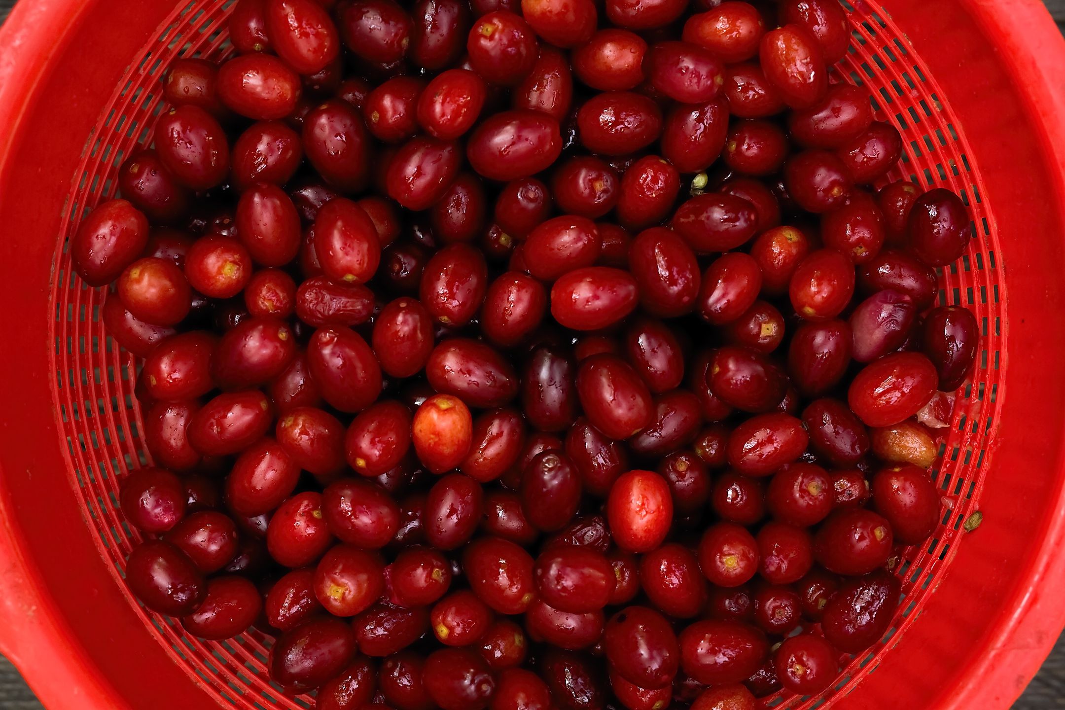 Owoce derenia