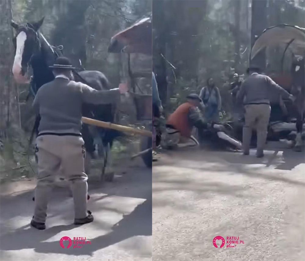 Kolejny wypadek na trasie do Morskiego Oka