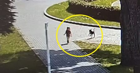 Dziecko wchodziło na pasy, a matka? Policja pokazała nagranie