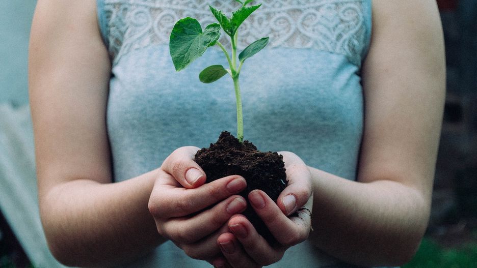 Firma Orange postawiła sobie ważne cele klimatyczne i wpisała je w swoją strategię