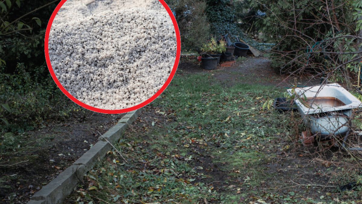 Jak użyźnić glebę domowym sposobem?