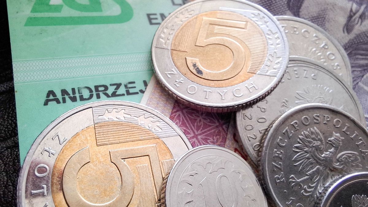 ZUS zapowiada cyfrowe nowości 