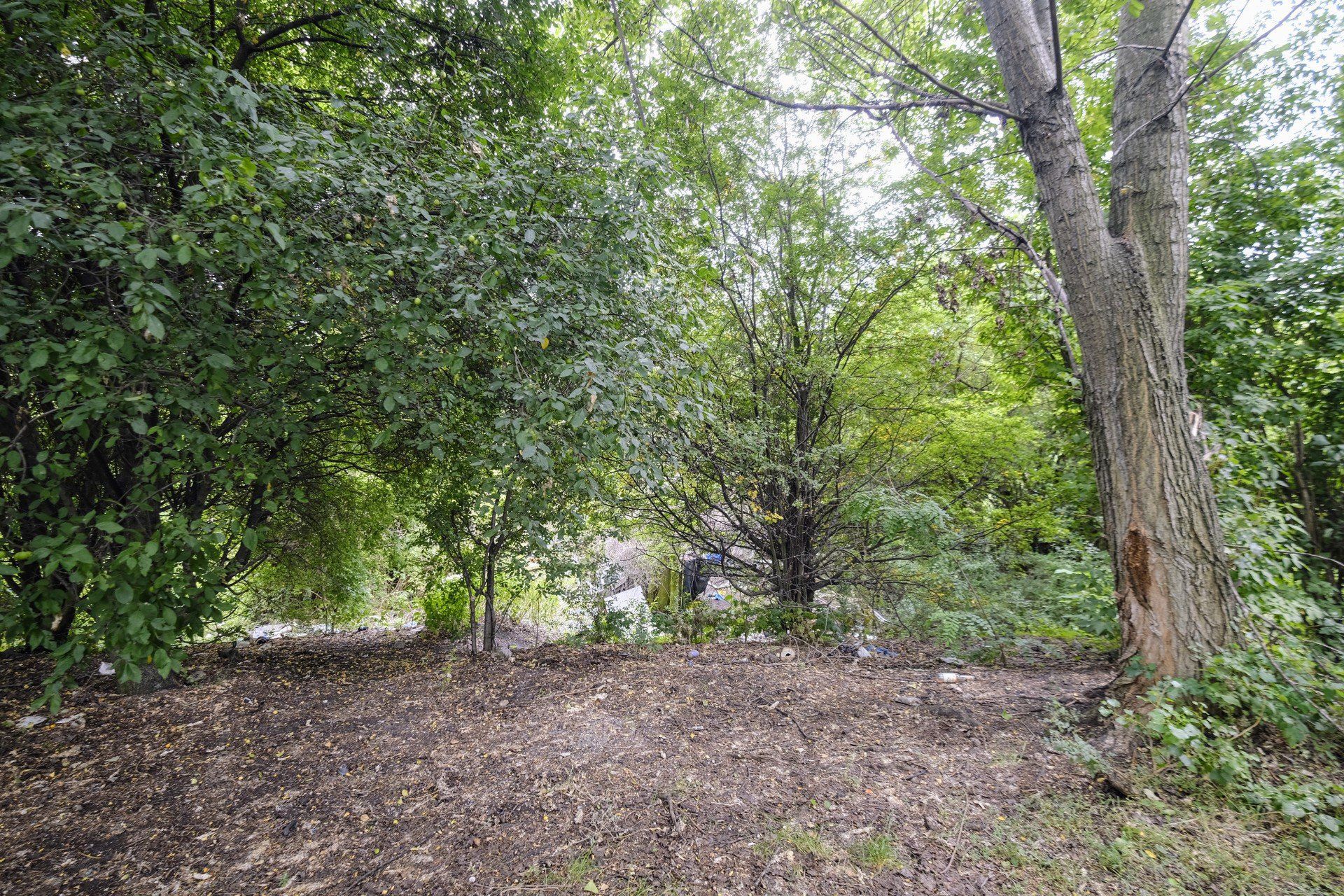 Na łazarzu powstanie nowy park? Tego chcą społecznicy i mieszkańcy.