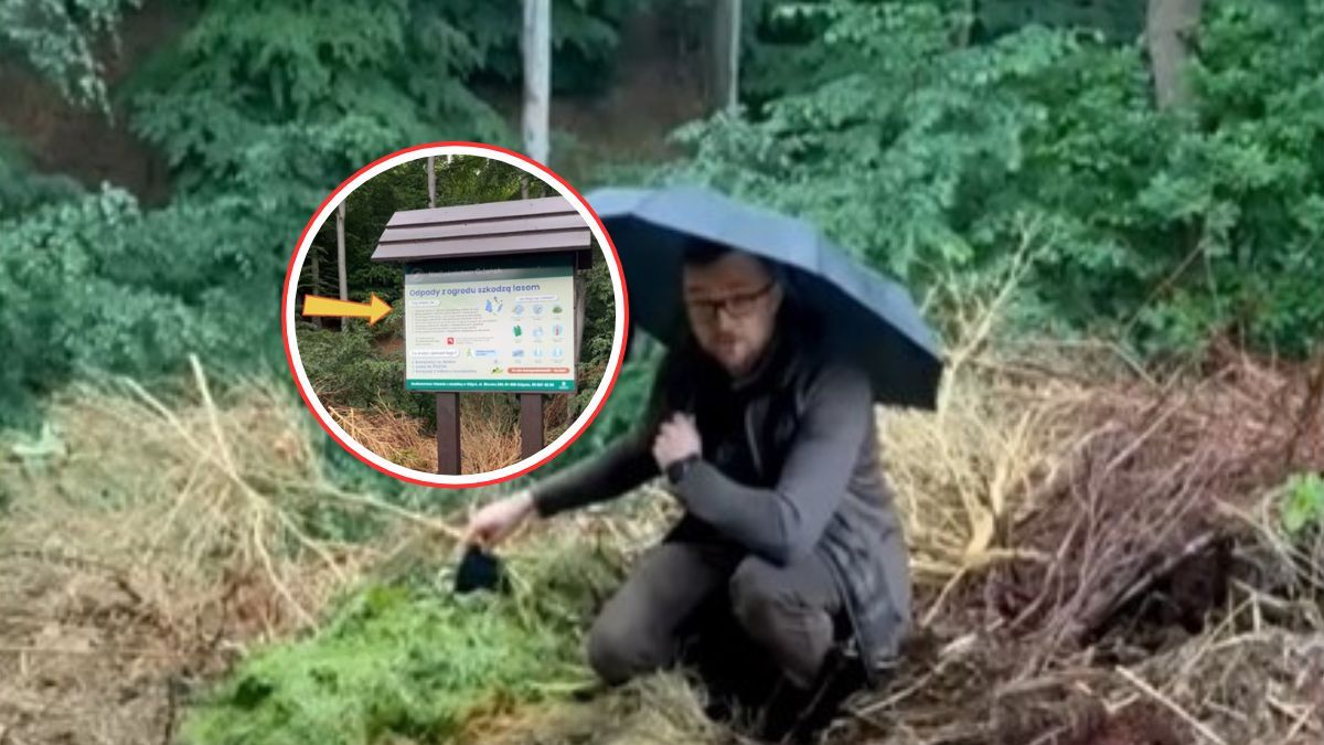 Skoszona trawa w lesie? Leśnicy apelują: nie rób tego