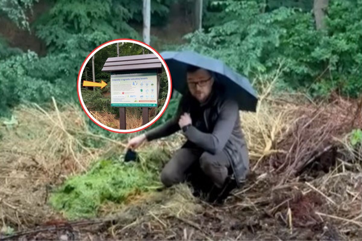 Wyrzucali do lasu. "Przecież to natura". Leśnik aż usiadł w stogach