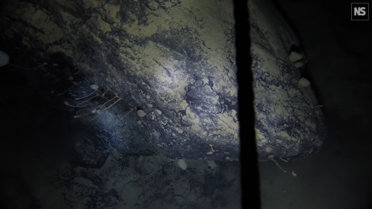 Niesamowite odkrycie pod lodem Antartydy