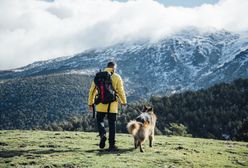 Tatry Słowackie z psem? Możliwa jest zmiana przepisów