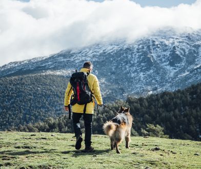 Tatry Słowackie z psem? Możliwa jest zmiana przepisów