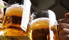 82 procent polskich internautów sięga po piwo, najważniejsze smak, cena i znajomość marki