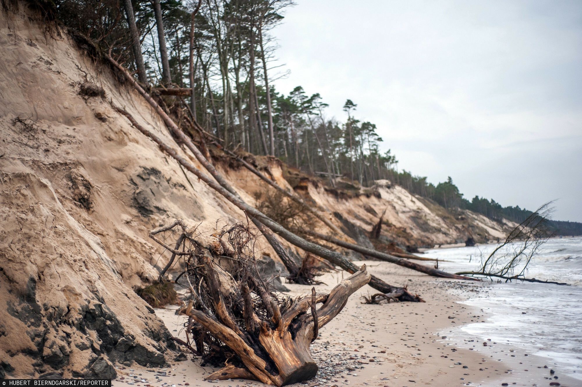 Bałtyk podmył klif w Orzechowie. "Bardzo duże straty" 