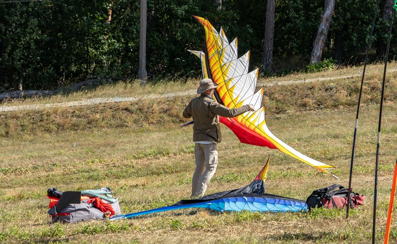 Latawce, Chodzież