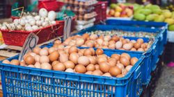 Salmonella, gronkowiec, pleśń. Ważne ostrzeżenie sanepidu