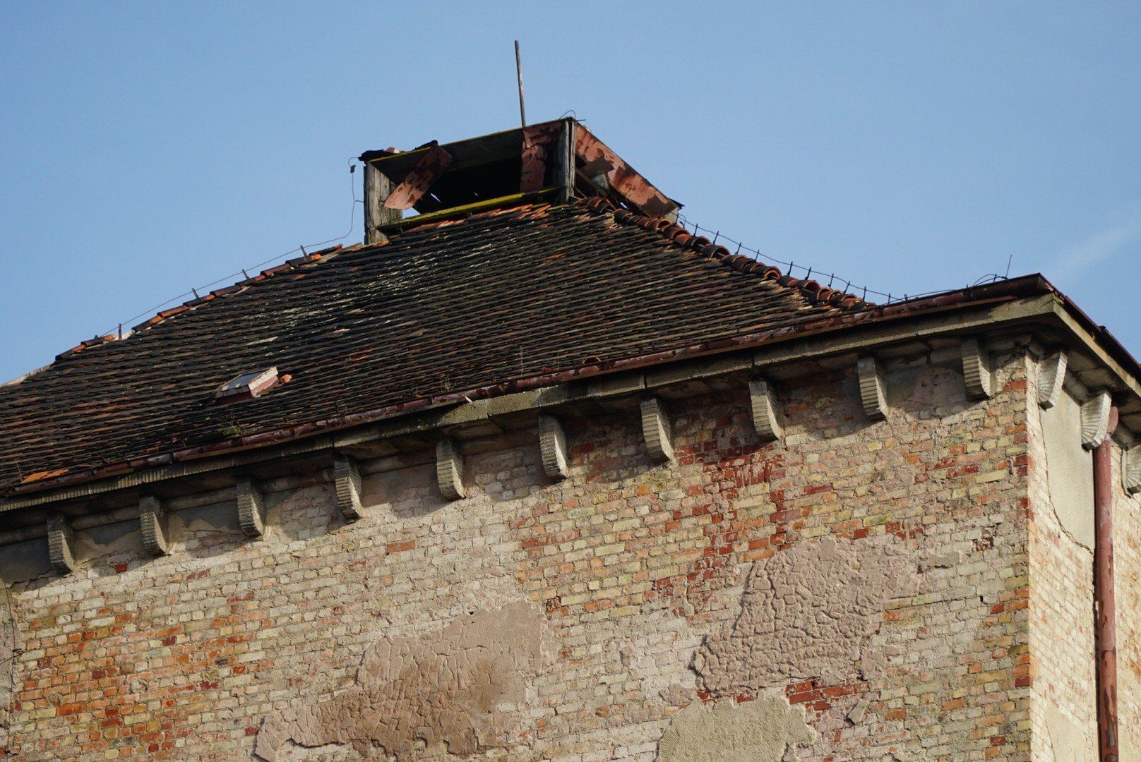 Tak obecnie wygląda synagoga w Poznaniu