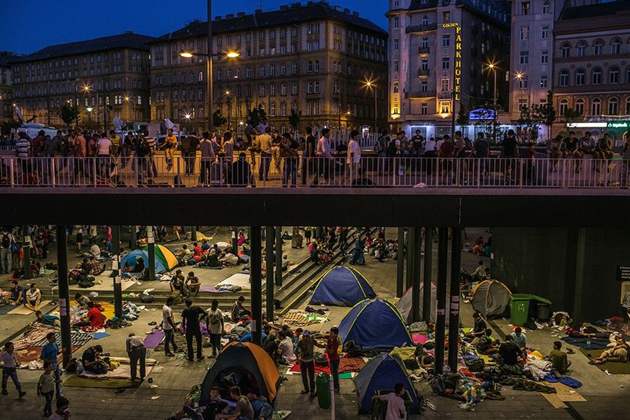 Przyznano Nagrody Pulitzera 2016 w kategoriach dziennikarstwa wizualnego 8