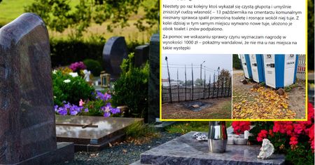 Ktoś spalił przenośną toaletę przy cmentarzu. Burmistrz prosi o pomoc