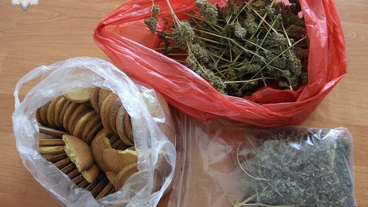 Ciasteczka z marihuaną i susz marihuany w domu 19-latka z gminy Ludwin | fot. KPP Łęczna