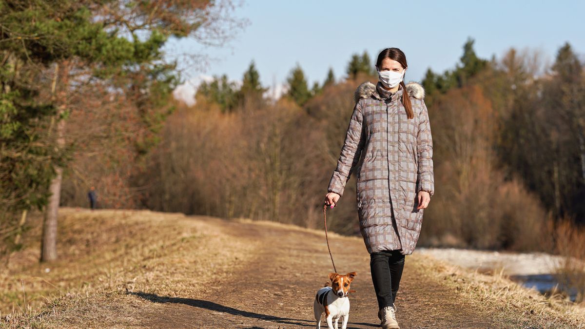 spacer z psem pies wolontariat wolontariusz