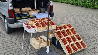Stanął z truskawkami pod Biedronką. Wystarczyło pół godziny