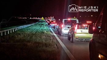 Choszczówka Dębska: Nocne poważne zderzenie BMW z łosiem na A2