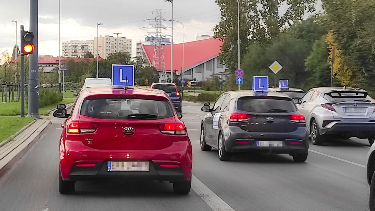 Ministerstwo Zdrowia chce podnieść stawki za badania psychologiczne kierowców