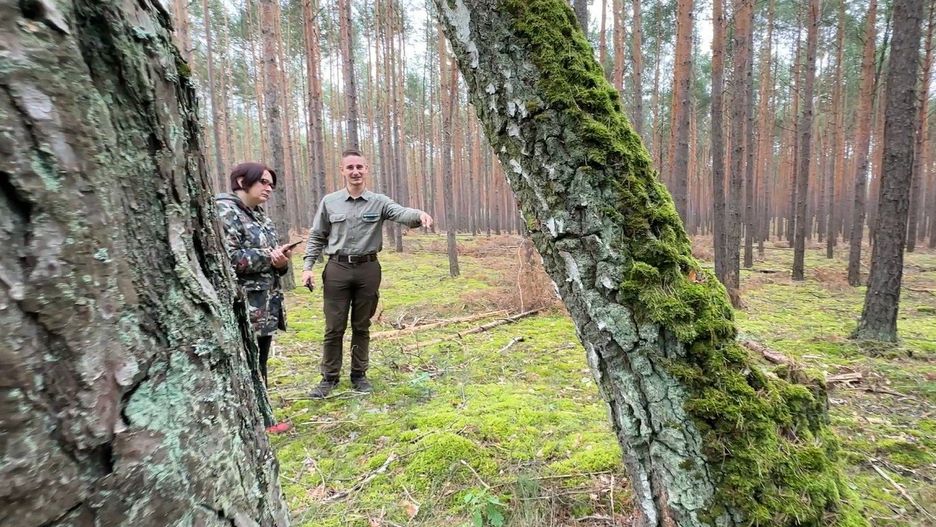 Zapraszamy do udziału we wspólnym grzybobraniu &#34;chodźMY na grzyby&#34;, które odbędzie się w sobotę, 27 września, o godz. 9 jednocześnie w 19 lokalizacjach województwa kujawsko-pomorskiego