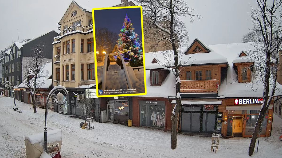 Niosą się ujęcia z Krupówek.