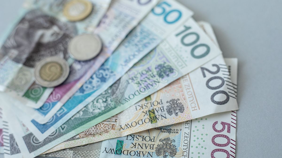 kredyt, pln, waluta, finanse, gotówka, bank, papier, banknoty, finansowy, bilon, banknot, bankowej, bogactwo, biznes, polska, polska waluta