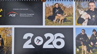 Bełchatów: Zawodnicy Skry pozują z psami w szczytnym celu. Charytatywny kalendarz wydało piotrkowskie schronisko dla zwierząt.