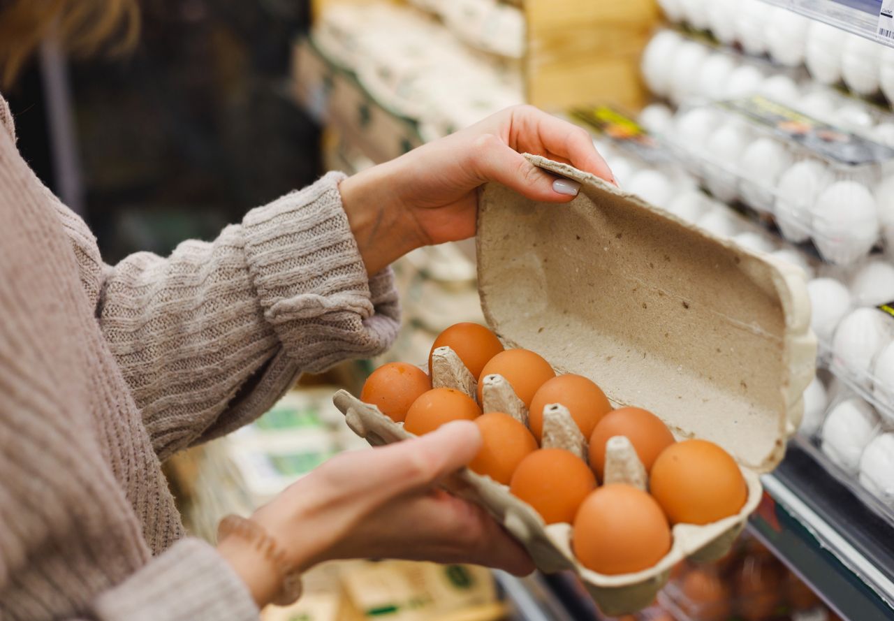 Salmonella w jajkach. GIS wydał specjalny komunikat