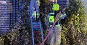 Poznań: Nocny pożar pod miastem. Objął ok 200m2 powierzchni