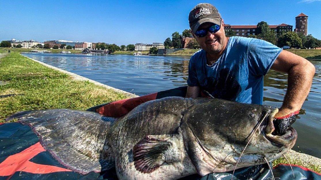 Wielki wyczyn wędkarza w Krakowie