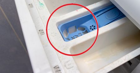 Masz w pralce taki kwiatek? Mało kto wie, że ma ukrytą funkcję