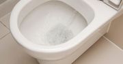 Opuszczanie deski nic nie daje? Naukowcy twierdzą, że jest tylko jeden sposób na zarazki w WC