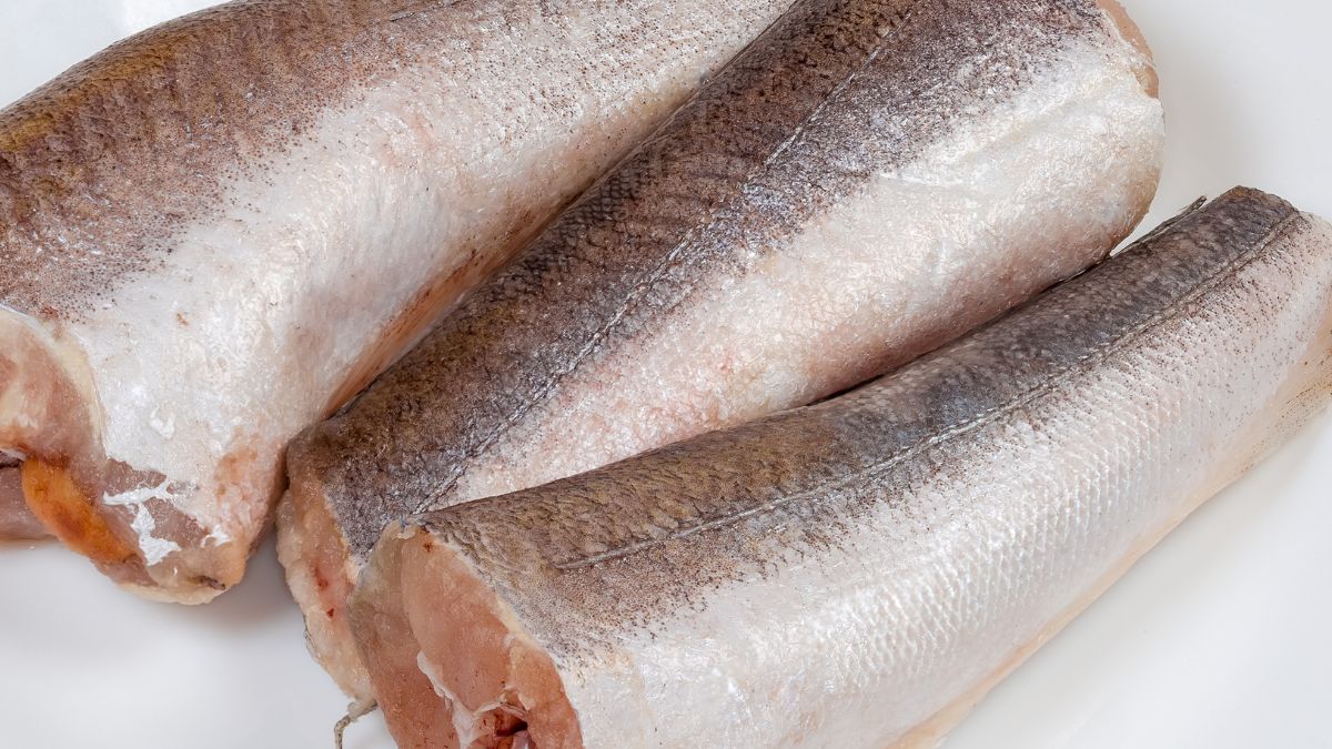 Morszczuk należy do ryb chudych