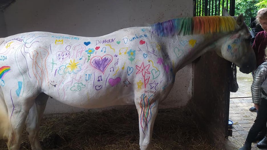 Pomalowany koń. Zajęcia dla dzieci wzbudziły kontrowersje. "Przez takie działania zatraca się podział między zabawką, a istotą żywą, która czuje"
