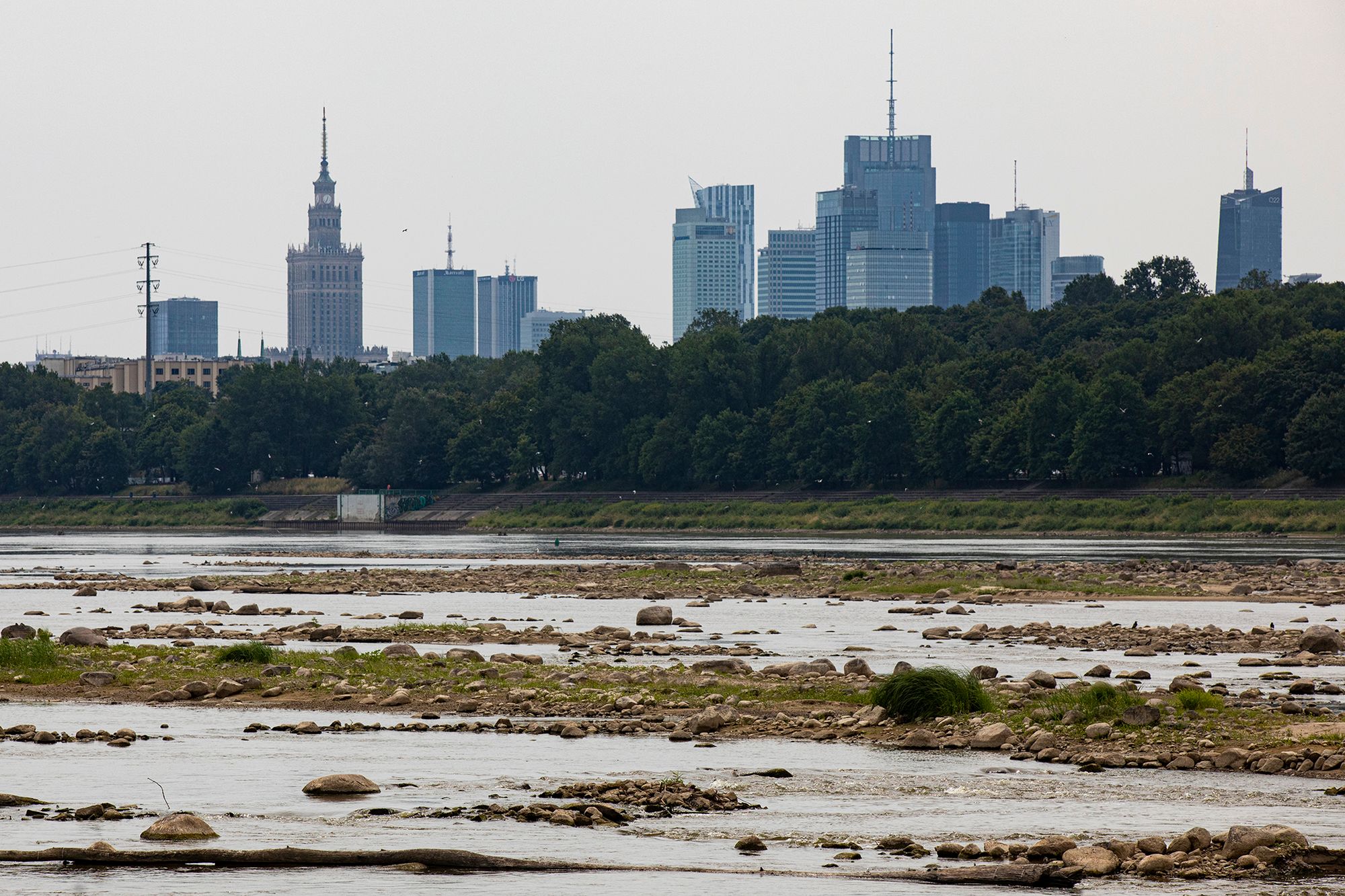 Susza hydrologiczna postępuje. Wisła odsłoniła swoje dno po raz kolejny 1